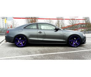 Eibach Tieferlegungsfedern Pro-Kit für Audi A5 Typ B8 (Coupé) 